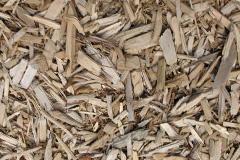 biomass boilers Hendra